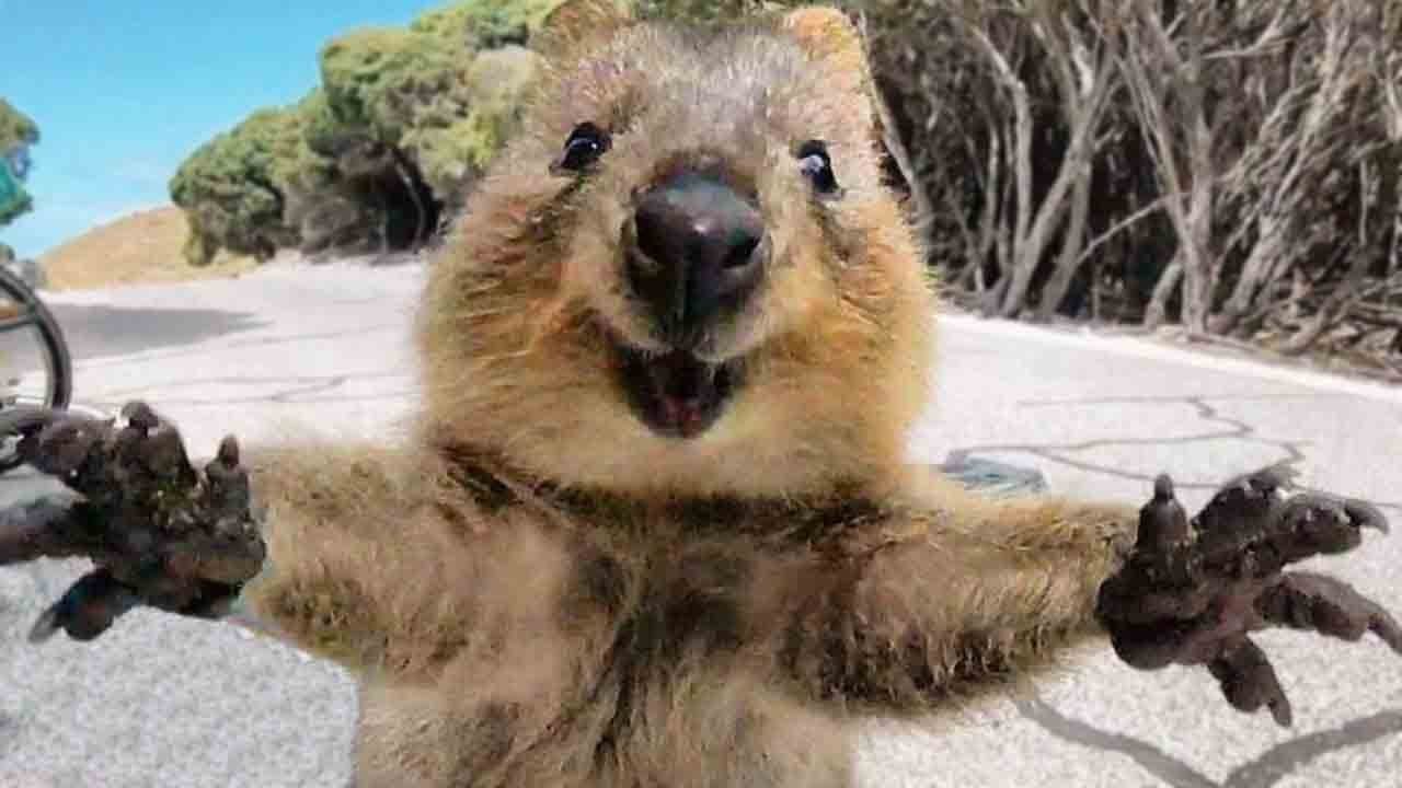 Vrijeme je za zagrljaje