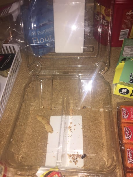 Imate li i vi osobu koja ostavi maleni komadić hrane samo da ne mora baciti pakiranje?