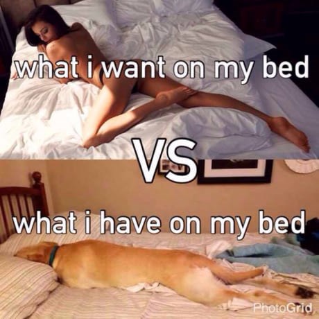 A kakvo je stanje kod vas u krevetu ?