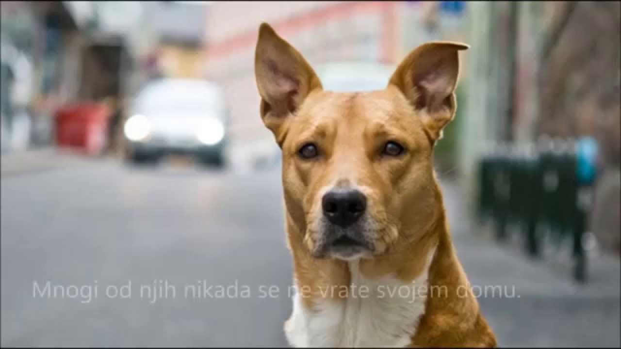 Geopet prijateljstvo koje traje