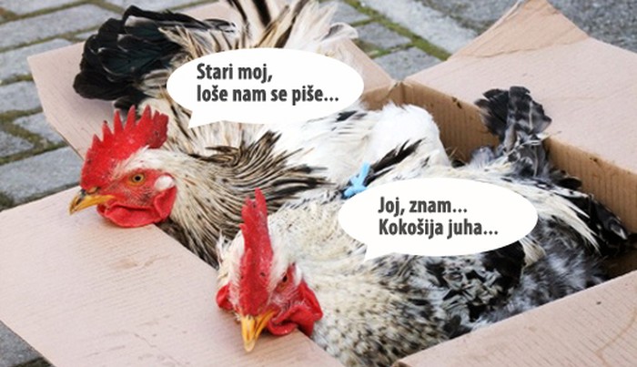 Juha...