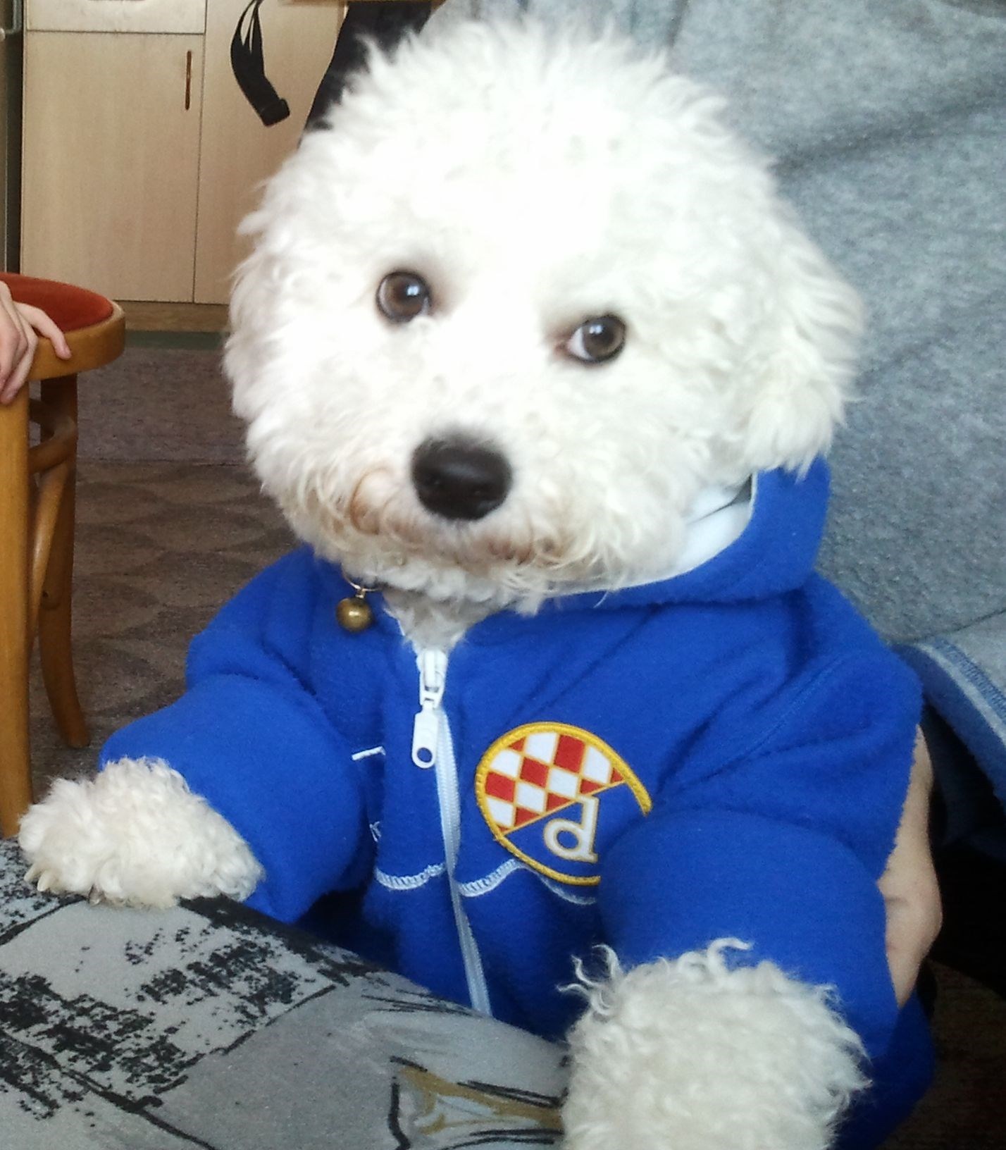 BBB - vatreni navijač