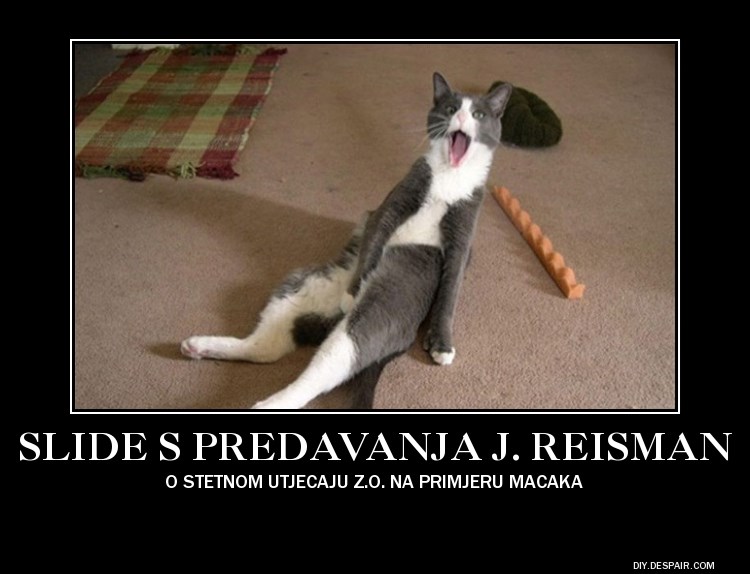 Jedan od slajdova s predavanja J. Reisman