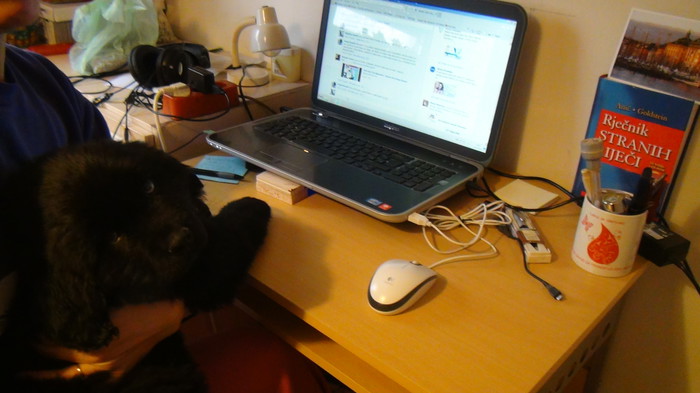 Prvi pogled na PC