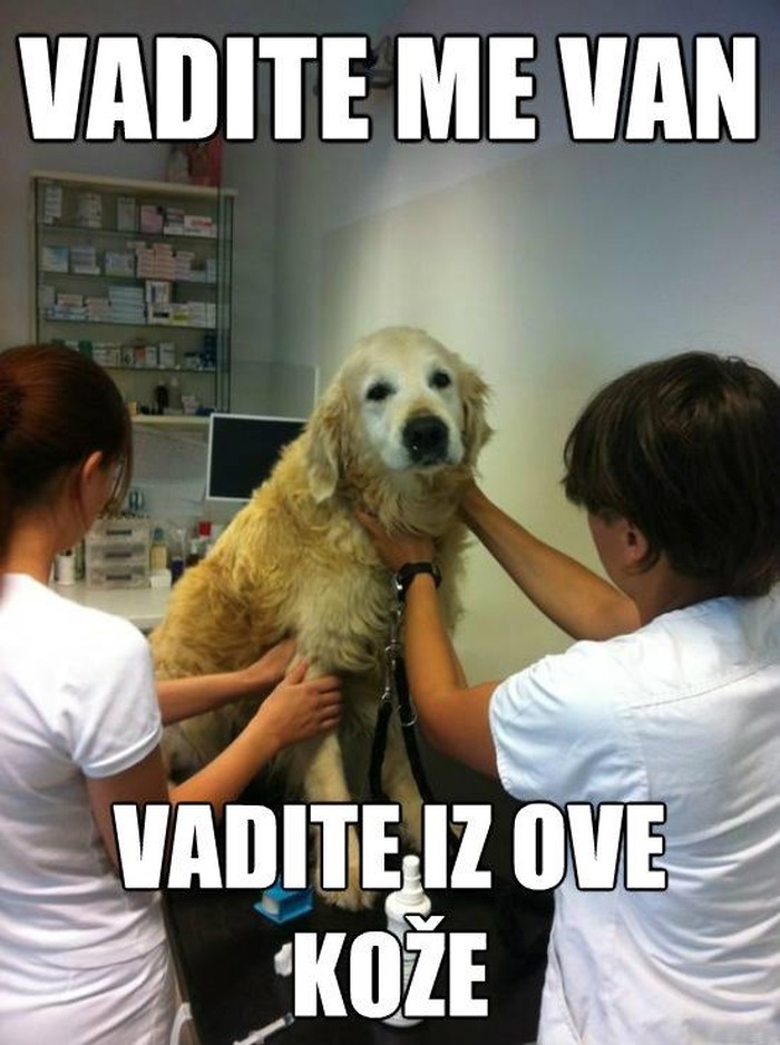 Vadite me van...