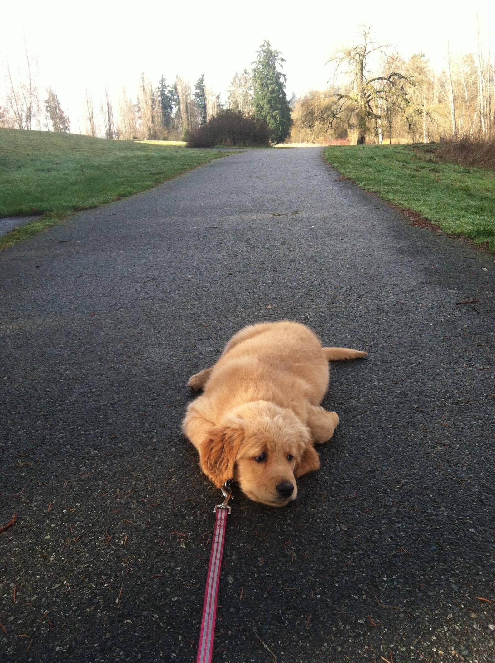 Ti vuci, meni se više ne da...