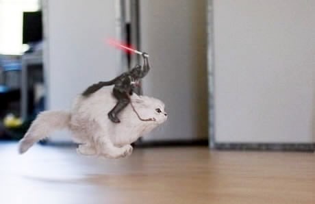 Darth Vader osedlao mačku