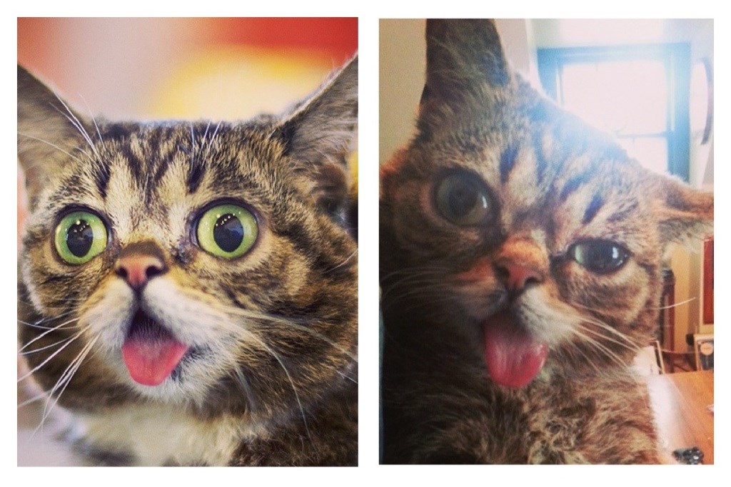 kad se nagutaš droze fine