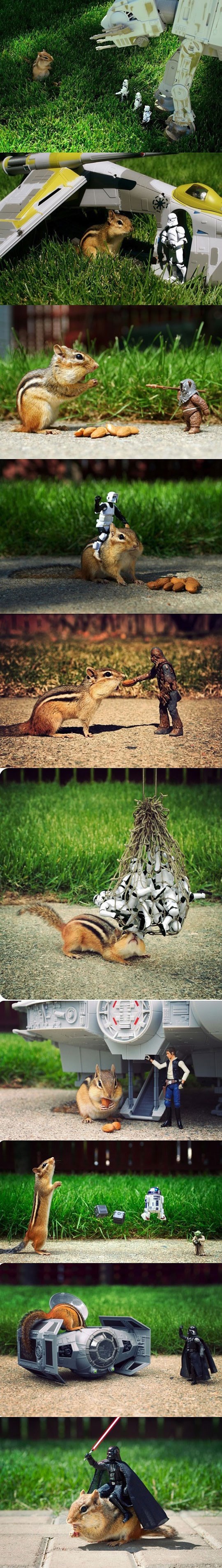 Vjeverica avanturistica