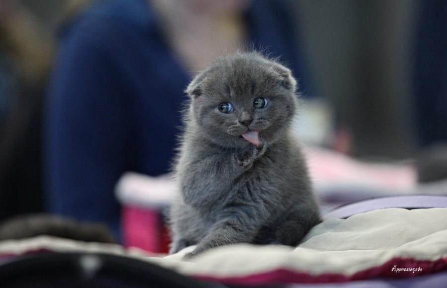 Tuširanje u javnosti :)