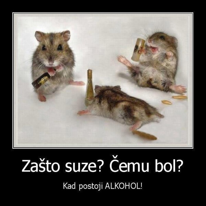 čemu suze, čemu bol, kad postoji alkohol