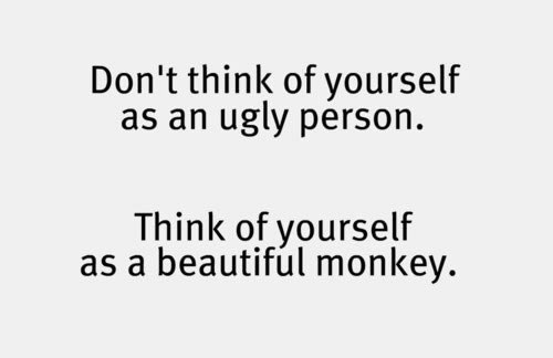 nisi ružan čovjek, nego lijepi majmun
