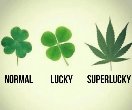 Više listova - više smijeha:)