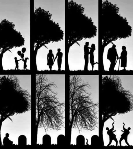 Circle of life and death and life again :)