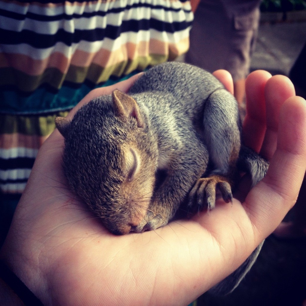 Čisto povjerenje - nemoj ga iznevjeriti
