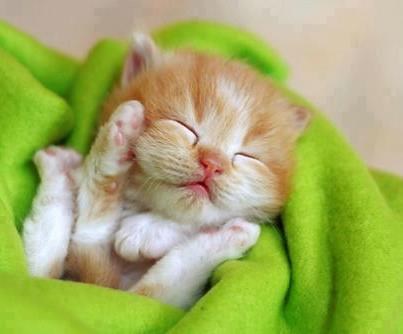 Priroda nas je programirala da volimo nemoćne