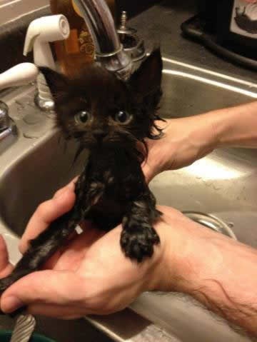 Iznevjerio si moje malo povjerenje!