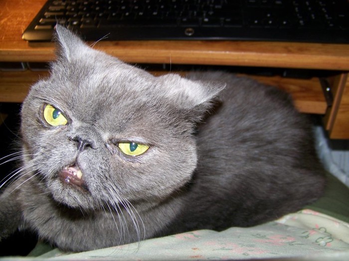 Samuel L. Catson nešto nije raspoložen