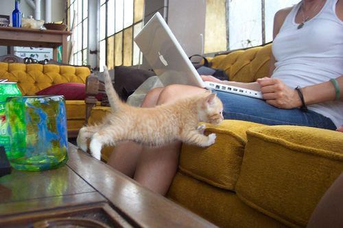 mica skače preko ponora:)