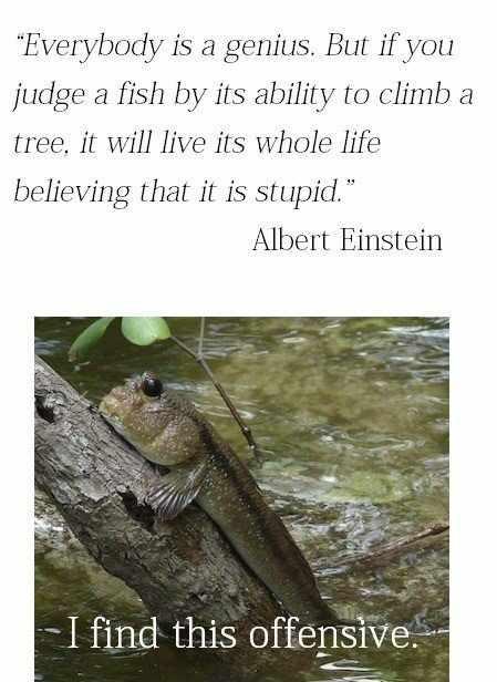 Einstein duguje ispriku ribici