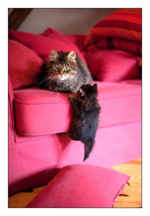 ni sekunde odmora, cijeli dan rinta duplu smjenu