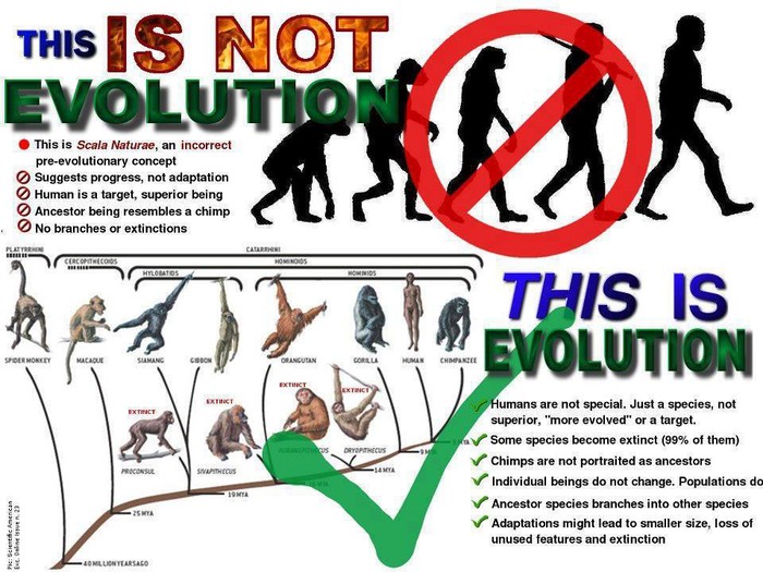 Ne budi glup, nauči što je evolucija