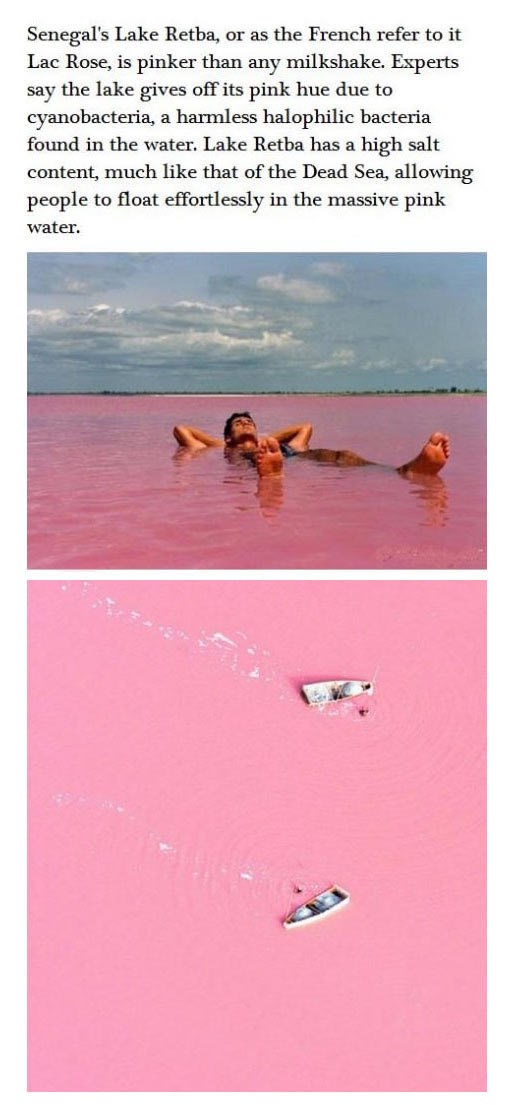 Bi zaplivala u rozom jezeru?