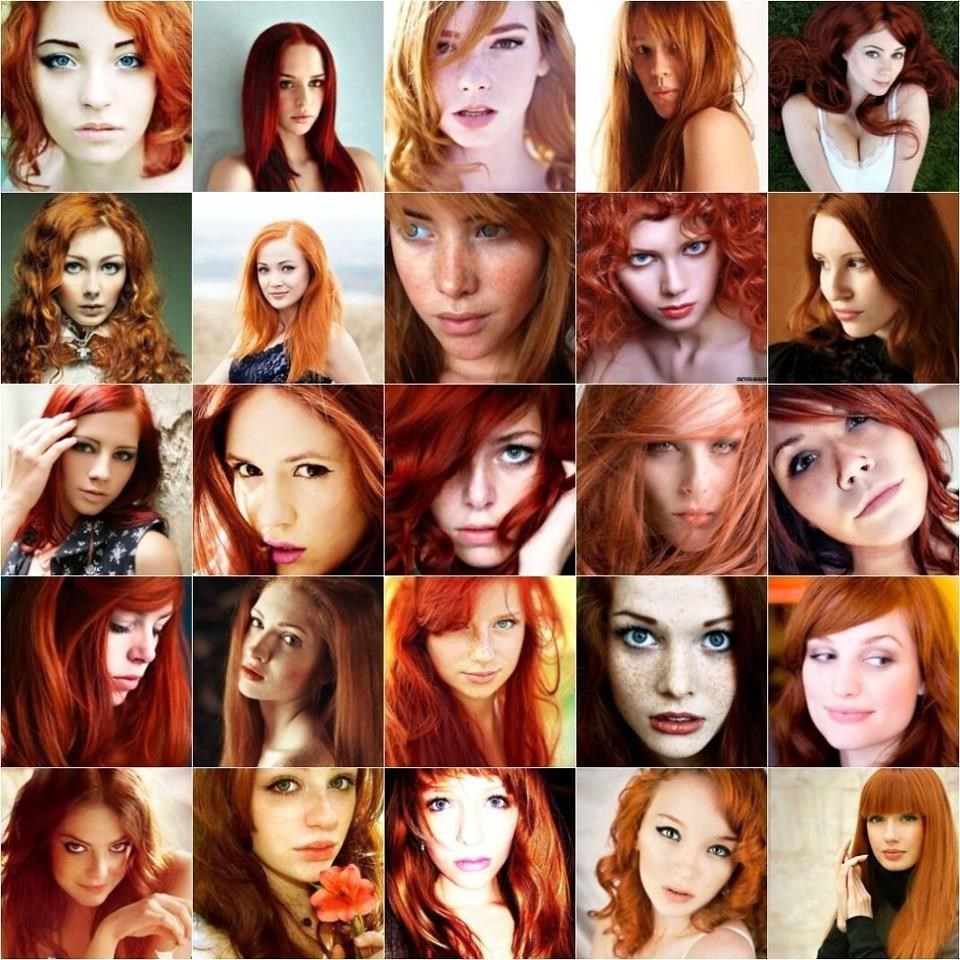 izaberi jednu vatrenu - koja je najbolja?