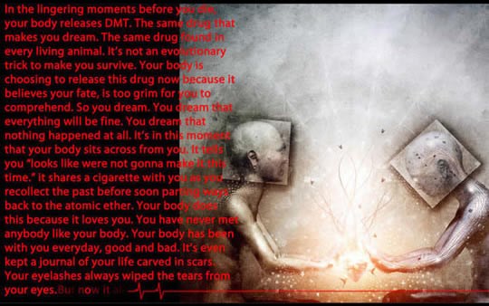 Kako nas tijelo tješi kad umiremo