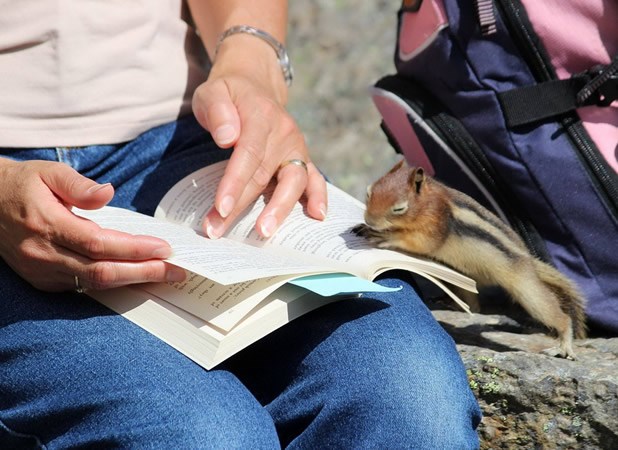 A tu ti piše "Nahrani slatku vjevericu"
