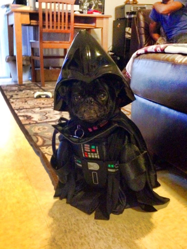 Odbili ga za ulogu jer je prestrašan