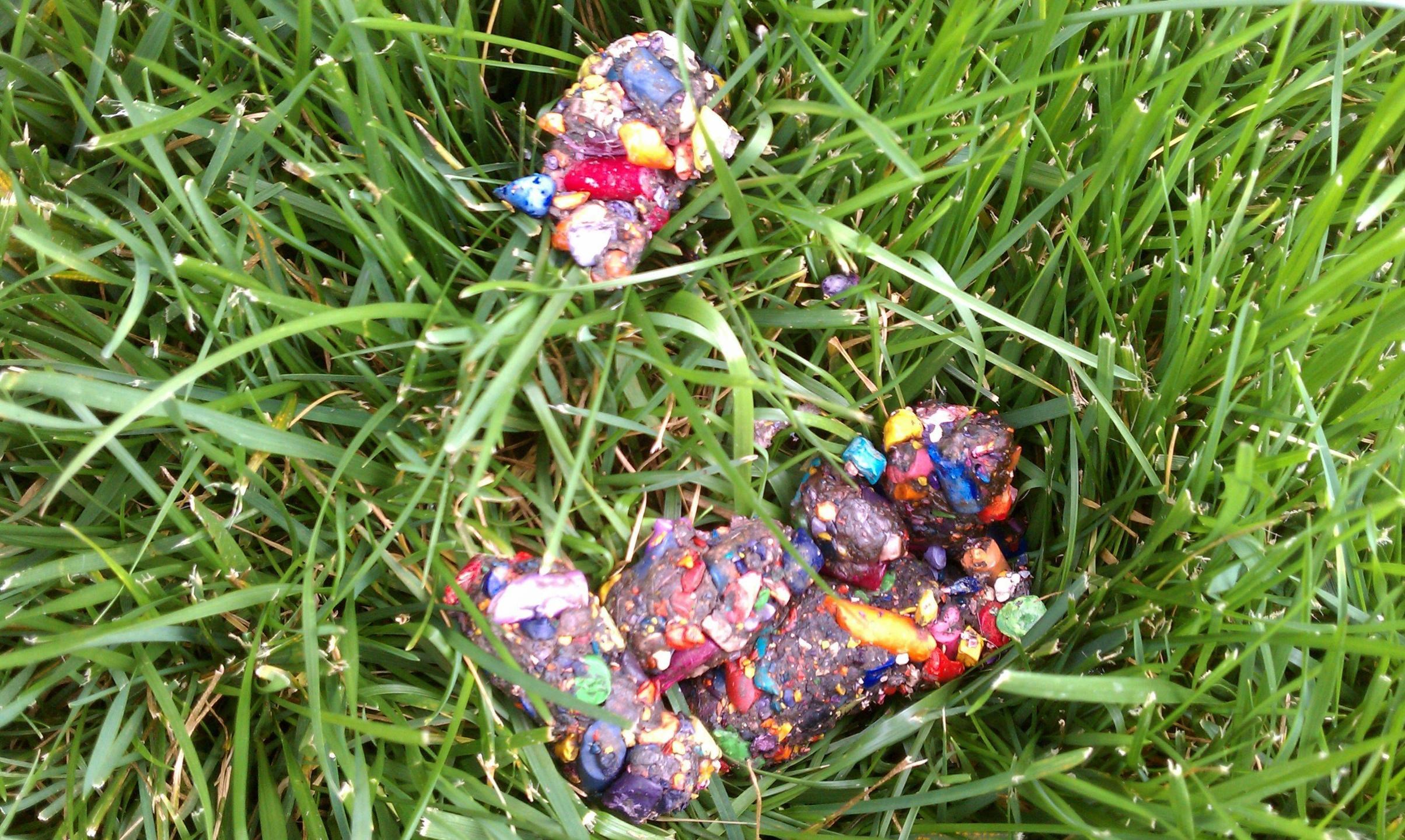 pas pojeo kutiju pastela:D