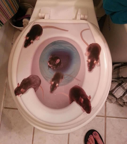 Kupi za školjku i nemoj reć ženi