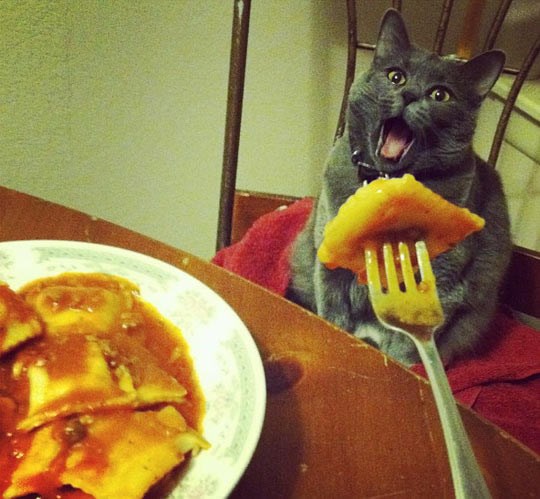 Ide vlakić, ajde reci AAAAA!