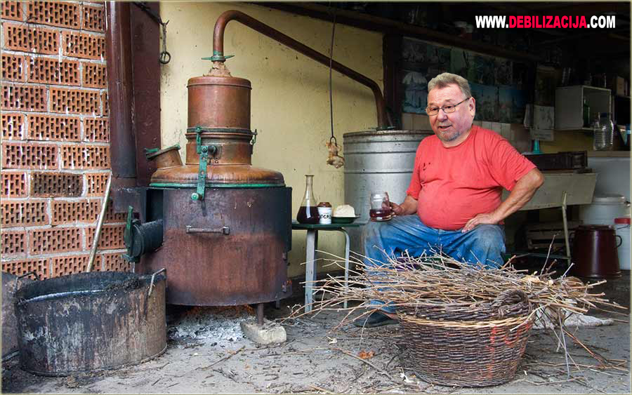 Vladimir Šeks se priprema za parlamentarne izbore