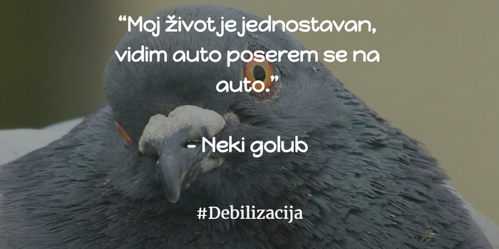 Golub s parkinga