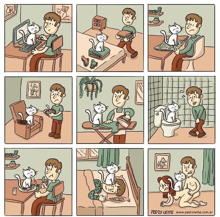 Prava istina o mačkama...