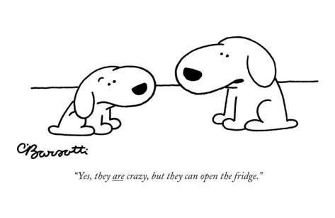 Kako psi vide svoje vlasnike