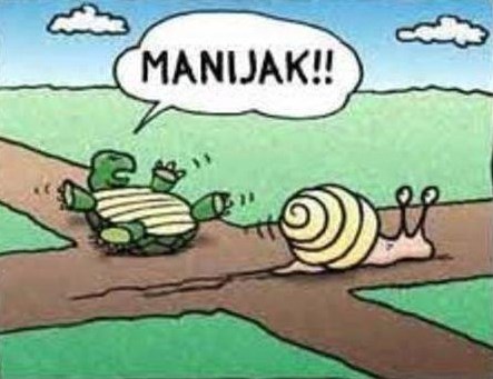 Puž "projurio" ispred kornjače i oduzeo joj prednost :)