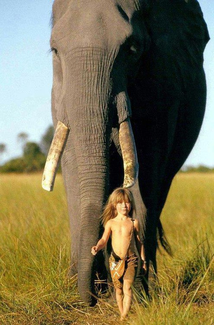 Mali Tarzan i njegov veliki prijatelj