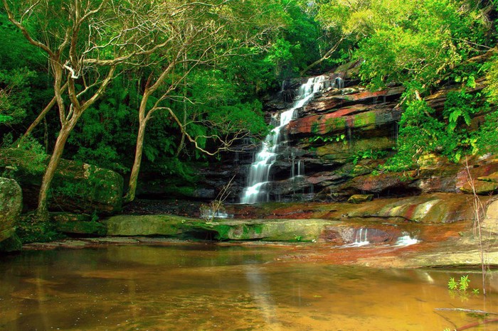 Zelena oaza: Vodopad Pristine, Australija