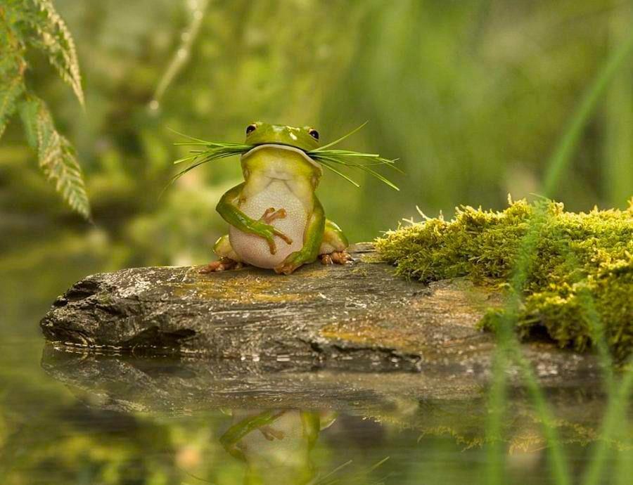 Njam, njam, njam... da samo znaš kak je ovo finooooo...