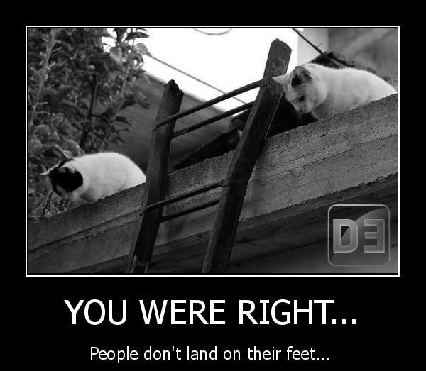 Mačke provele brutalni test na gazdi