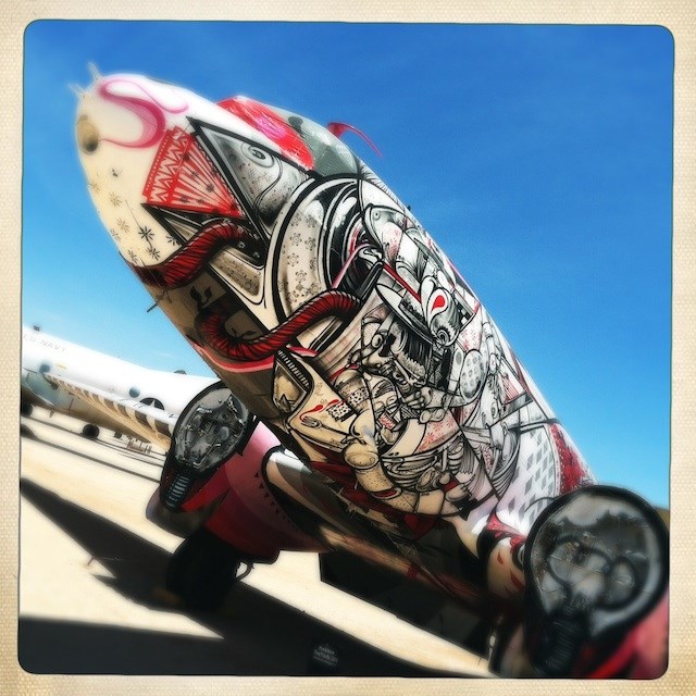 Tko ne bi ovime letio: Genijalno oslikani avion