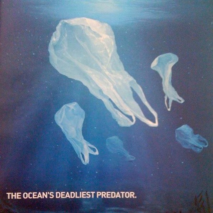 Najubojitiji predatori oceana