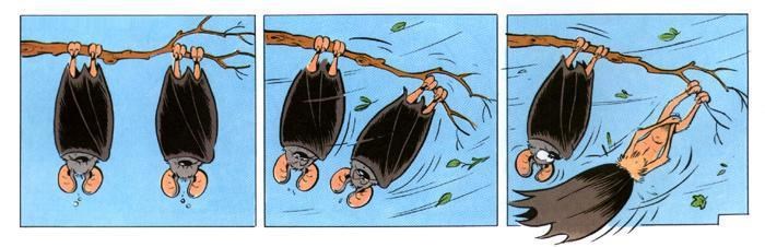 Šišmišici vjetar otpuhao haljinu