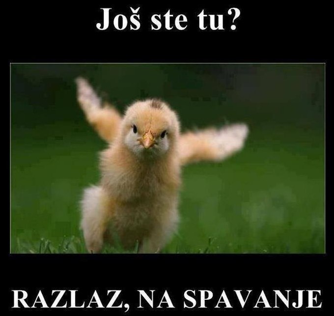 Dežurni partibrejker