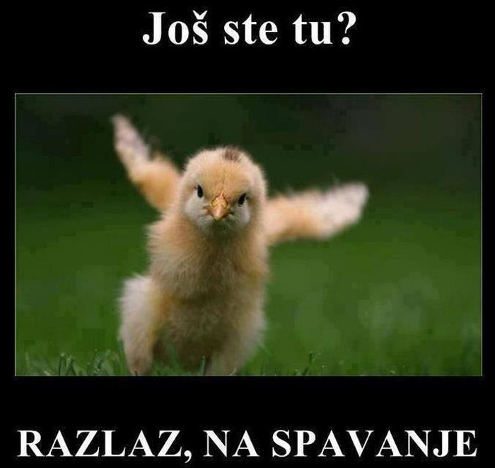 Dežurni partibrejker