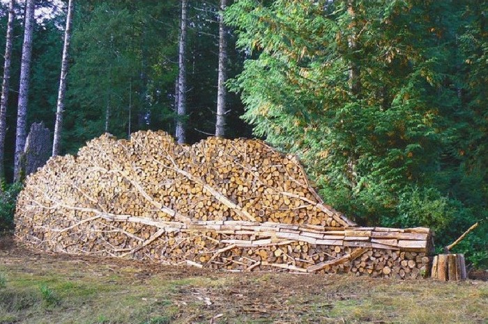 Drvosječa sa stilom - od cjepanica složio polegnuto stablo