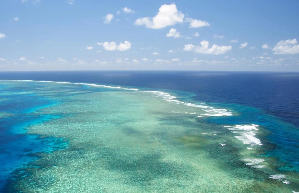 Prekrasne boje koraljnog grebena